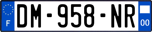 DM-958-NR