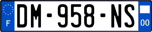 DM-958-NS