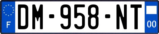 DM-958-NT