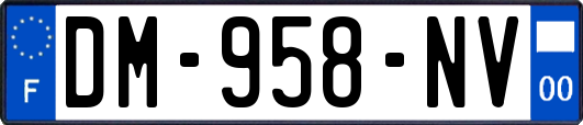 DM-958-NV