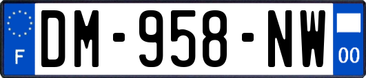 DM-958-NW