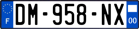 DM-958-NX