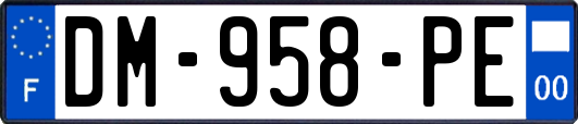 DM-958-PE
