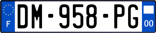 DM-958-PG