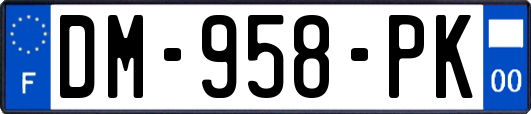 DM-958-PK