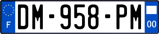 DM-958-PM
