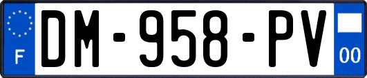 DM-958-PV