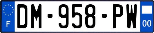 DM-958-PW