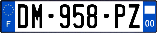 DM-958-PZ