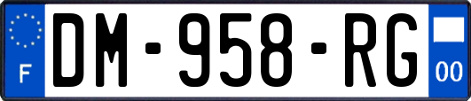 DM-958-RG
