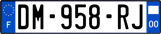 DM-958-RJ