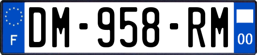 DM-958-RM