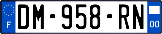 DM-958-RN