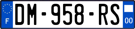 DM-958-RS