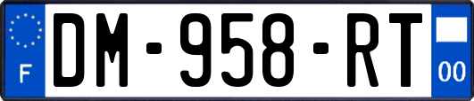 DM-958-RT