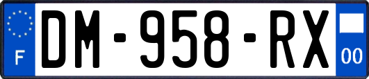 DM-958-RX