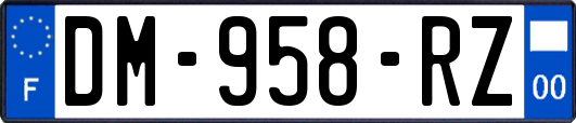 DM-958-RZ