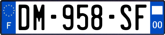 DM-958-SF