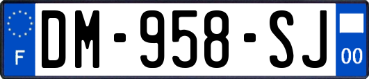 DM-958-SJ