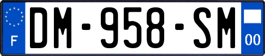 DM-958-SM