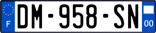 DM-958-SN