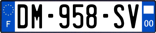 DM-958-SV