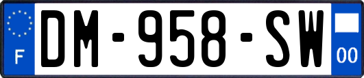 DM-958-SW