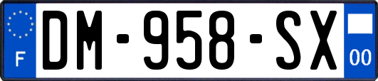 DM-958-SX