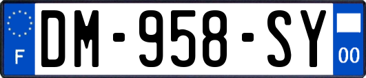 DM-958-SY