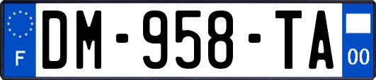 DM-958-TA