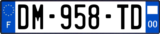 DM-958-TD