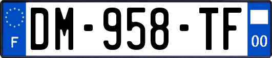 DM-958-TF
