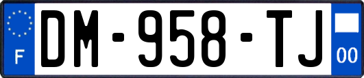 DM-958-TJ