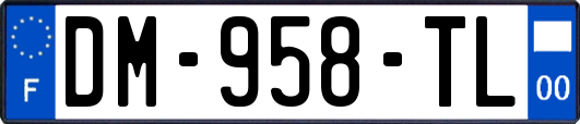 DM-958-TL