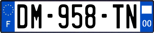 DM-958-TN