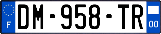 DM-958-TR