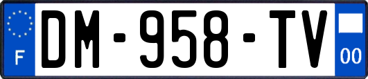 DM-958-TV