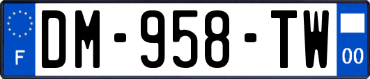DM-958-TW
