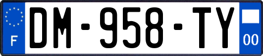 DM-958-TY