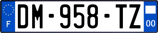 DM-958-TZ