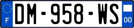 DM-958-WS