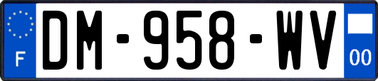 DM-958-WV