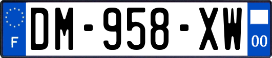 DM-958-XW