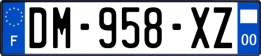 DM-958-XZ