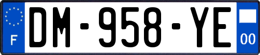 DM-958-YE