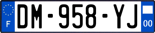 DM-958-YJ