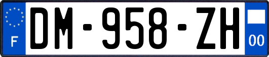 DM-958-ZH