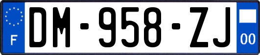 DM-958-ZJ