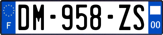 DM-958-ZS