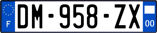 DM-958-ZX